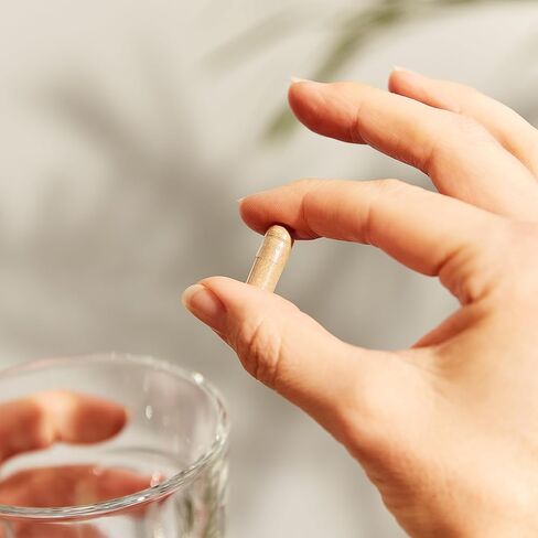 Solgar كبسولات نباتية موحدة ذات فعالية كاملة ومستخلص جذر عرق السوس، 60 كبسولة in Kuwait