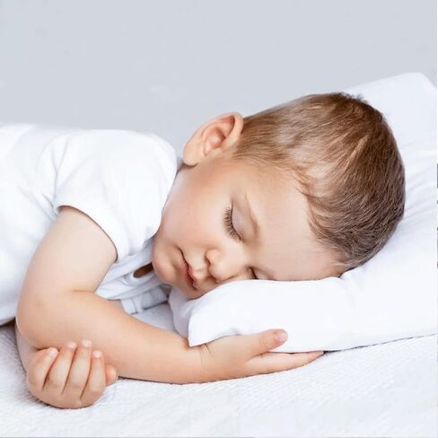 طقم غطاء وسادة للأطفال الصغار للسفر مكون من قطعتين مقاس 14 × 20 بوصة غطاء وسادة أطفال صلب برقوقي 100% قطن مصري ناعم عدد 500 خيط مع سحاب أقرب غطاء وسادة مزخرف مقاس 14 × 20 برقوق صلب in Kuwait