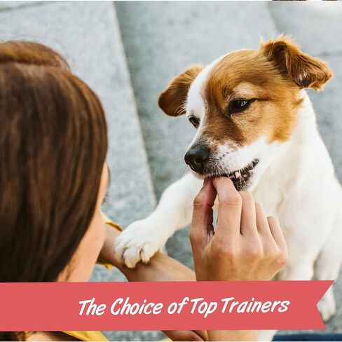Pet Botanics 20 oz. Pouch Training Rewards Soft & Chewy Large Bites, Bacon Flavor, with 250 Treats Per Bag, The Choice of Top Trainers, for Large Breed Sizes in Kuwait