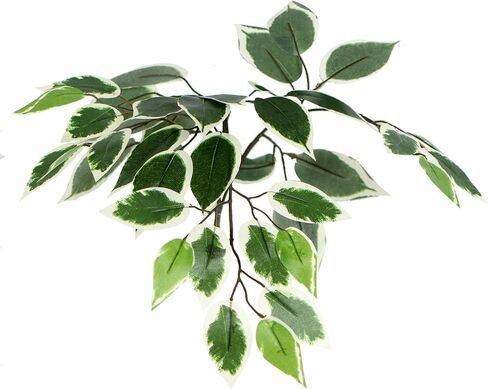 Vickerman Everyday 4' Artificial Variegated Ficus Bush in a Black Plastic Pot - Lifelike Home Office Decor - Faux Indoor Potted Bush in Saudi Arabia