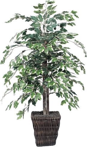 Vickerman Everyday 4' Artificial Variegated Ficus Bush in a Black Plastic Pot - Lifelike Home Office Decor - Faux Indoor Potted Bush in Saudi Arabia