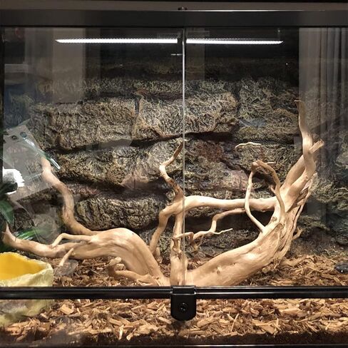 Hamiledyi Terrarium Background Reptile Tank Background Board Aquarium 3D Stereo Backdrop Amphibian Habitat Decoration for Fish Lizard Bearded Dragons Geckos Snakes in Kuwait