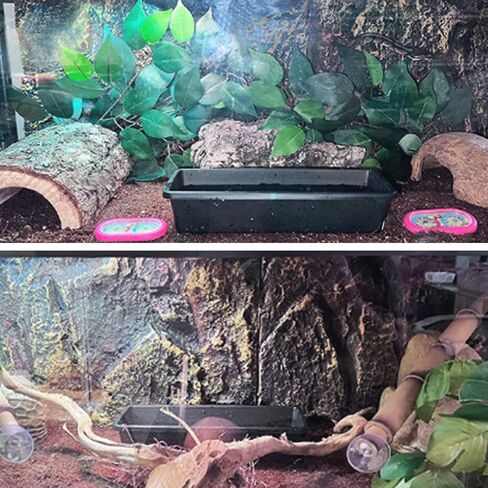 Hamiledyi Terrarium Background Reptile Tank Background Board Aquarium 3D Stereo Backdrop Amphibian Habitat Decoration for Fish Lizard Bearded Dragons Geckos Snakes in Kuwait