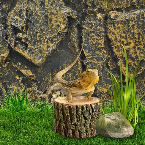 PINVNBY Rock Terrarium Background,3D Bearded Dragon Tank Backgrounds Wall Reptile Stereo Backdrop Amphibian Habitat Climbing Board Decoration Aquarium Background Decor for Reptiles Lizard Fish Frog in Saudi Arabia