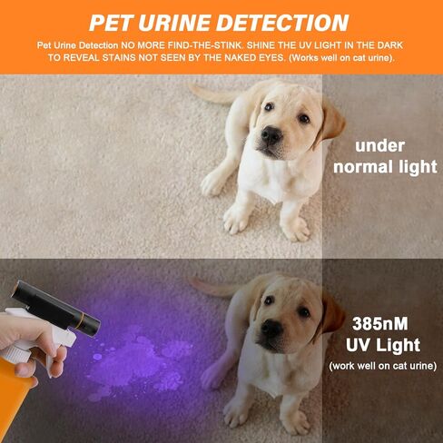 Escolite UV Flashlight Black Light, 51 LED Camo 395 nM Ultraviolet Blacklight Flashlights Detector for Dog Urine, Dry Pet Stains, Bed Bug, Finding Scorpion,Matching with Pet Odor Eliminator in Kuwait