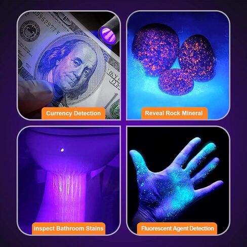 Escolite UV Flashlight Black Light, 51 LED Camo 395 nM Ultraviolet Blacklight Flashlights Detector for Dog Urine, Dry Pet Stains, Bed Bug, Finding Scorpion,Matching with Pet Odor Eliminator in Kuwait