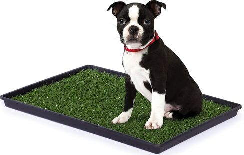 Prevue Pet Products Tinkle Turf Indoor Portable Pee Turf Patch - Medium Dogs in Saudi Arabia