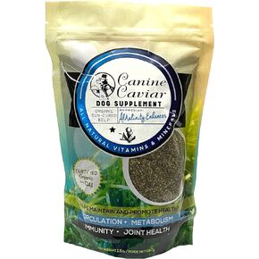 Dried Kelp Powder for Dogs - Canine Caviar Organic Norwegian Dried Kelp Supplement Powder to Improve Teeth and Gums, Circulation, Metabolism, and Joint Health, Dog Supplement (1.5 lb) in Saudi Arabia