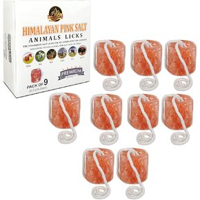 Himalaid Himalayan Salt Lick on Rope for Horses, Cattles, and Other Livestock, 2.5 LBS Each (15 Pack) in Saudi Arabia
