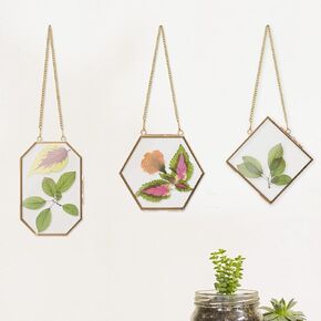 Apipi 3 Packs Pressed Flowers Glass Frames - Golden Hanging Glass Picture Frames in 3 Sizes with Chain Floating DIY Display Frames for Dried Plant Specimen Kids Wall Decor