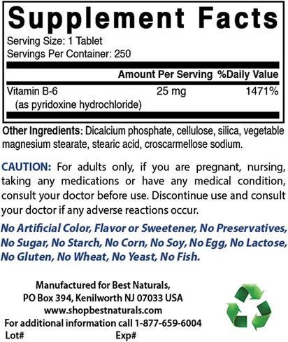 Best Naturals Vitamin B6 25mg 250 Tablets (250 Count (Pack of 3)) in Saudi Arabia