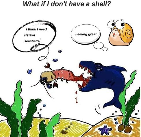 أصداف سرطان البحر الناسك من بيتاوي، 20 قطعة من الأصداف البحرية المتوسطة والكبيرة والصغيرة النمو لمحار البحر المختلفة بدون مستلزمات مطلية مقاس مفتوح 0.5 بوصة - 2.1 بوصة (HCS20-95-) in Kuwait