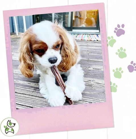 قضم الطبيعة - أعواد لحم بقري متشنج للكلاب - عظام مريء لحم البقر الطبيعية الممتازة - حلوى مضغ لذيذة للكلاب مكونة من مكون واحد - خالية من الجلود الخام - 6 بوصة in Kuwait