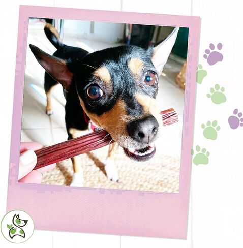 قضم الطبيعة - أعواد لحم بقري متشنج للكلاب - عظام مريء لحم البقر الطبيعية الممتازة - حلوى مضغ لذيذة للكلاب مكونة من مكون واحد - خالية من الجلود الخام - 6 بوصة in Kuwait