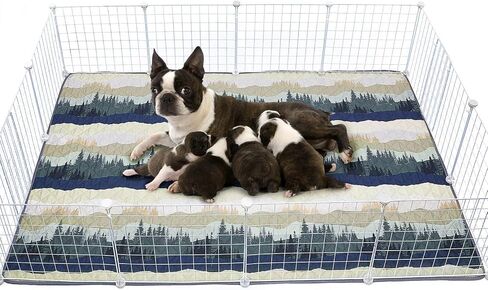 Washable Pee Pads for Dogs, 2 Pack Super Absorbent pee pads for dogs Reusable pee pads for dogs large 100% Waterproof puppy pads pet training pads for Potty, Playpen, Crate, Sofa, Car, 18'' x 24'' in Saudi Arabia