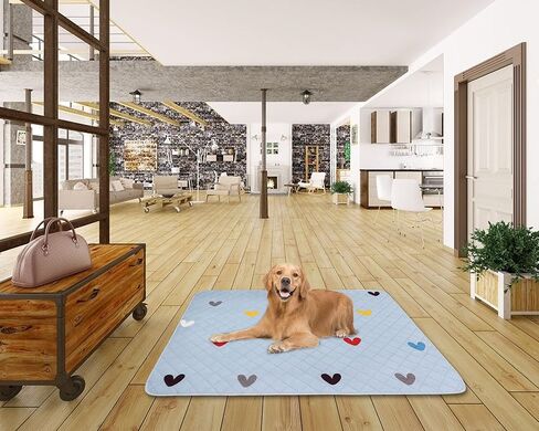 قطعتان من وسادات تبول الكلاب قابلة للغسل للكلاب، وسادات للكلاب سريعة الامتصاص ومقاومة للماء ومضادة للانزلاق، وسادات تبول للكلاب، وسادات للقعادة، وسادات لتدريب الكلاب (36 بوصة × 41 بوصة) in Kuwait