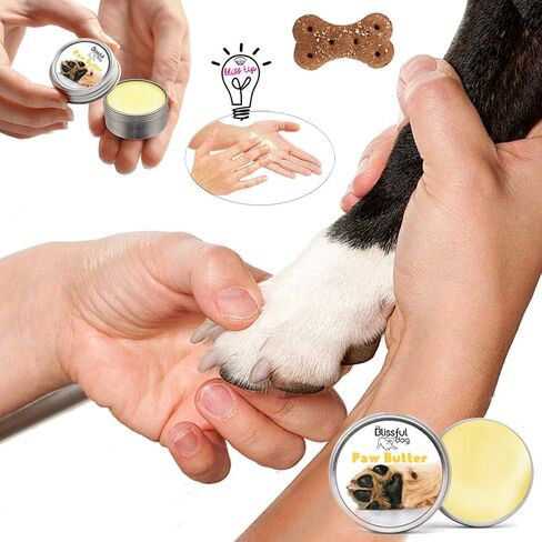 The Blissful Dog Paw Butter, Moisturizer For Dry Paw Pads, Softens and Protects a Rough Paw in Winter, Versatile, Lick-Safe Dog Paw Pad Balm 0.15 oz. in Kuwait