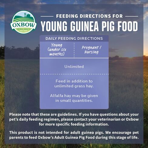 Oxbow Essentials Young Guinea Pig Food - All Natural Guinea Pig Pellets - 5 lb. in Saudi Arabia