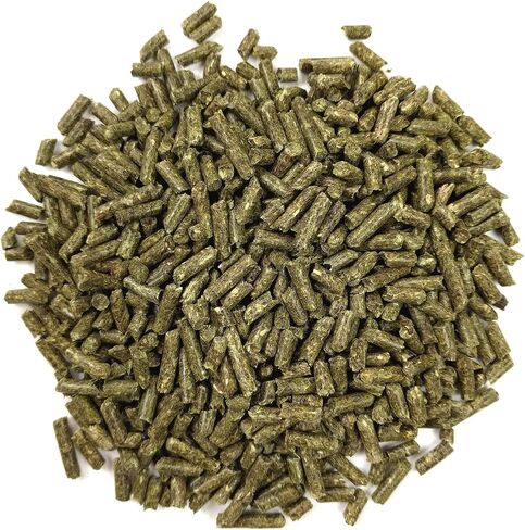 Oxbow Essentials Young Guinea Pig Food - All Natural Guinea Pig Pellets - 5 lb. in Saudi Arabia
