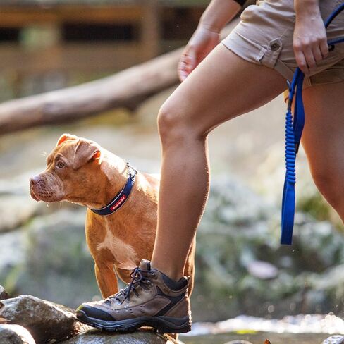 EzyDog Zero Shock Dog Leash - Shock Absorbing Bungee Leash For Dogs That Pull or Excite - Dual Handle and Reflective For Large, Medium, or Small Dogs (72-Inch, Black) in Kuwait