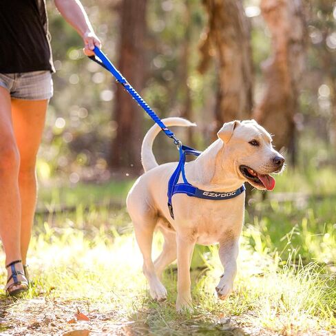 EzyDog Zero Shock Dog Leash - Shock Absorbing Bungee Leash For Dogs That Pull or Excite - Dual Handle and Reflective For Large, Medium, or Small Dogs (72-Inch, Black) in Kuwait