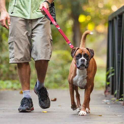 EzyDog Zero Shock Dog Leash - Shock Absorbing Bungee Leash For Dogs That Pull or Excite - Dual Handle and Reflective For Large, Medium, or Small Dogs (72-Inch, Black) in Kuwait