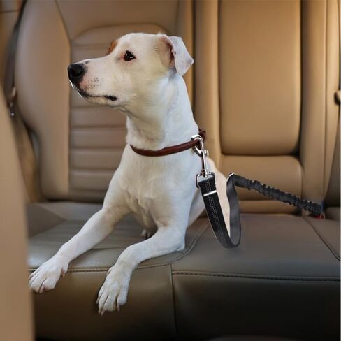 Wrist Band Strap Dog Leash-Hands Free Wrist Strap for Dog Leash, Comfortable Wrist Band add to Any Existing Dog Leash, A Retractable Dog Seatbelt Leash for Car Send as Backup in Kuwait