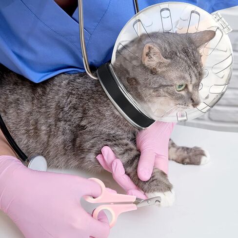 Therwen 8 Pcs Cat Bathing Bag Set Adjustable Pet Shower Net Bag Cat Helmet for Grooming Breathable Cat Muzzle Boots Paw Covers Nail Clipper Nail File Tick Tool Massage Brush Comb Pet Trimming Cleaning in Saudi Arabia