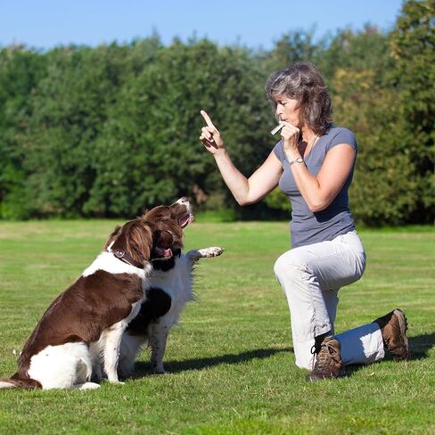 Potato Zone Emergency Whistle – Survival Keychain Whistle Emergency – 120db Loud Safety Whistle for Protection, Camping, Hiking, Sports, Dog Training – Portable Metal Whistle in Kuwait