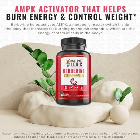 Native Logic Berberine HCL 1200mg مع قرفة سيلان، والبطيخ المر، ومستخلص الشاي الأخضر | يدعم صحة القلب والأوعية الدموية والجهاز الهضمي مع دعم الجهاز المناعي – 120 كبسولة in Kuwait