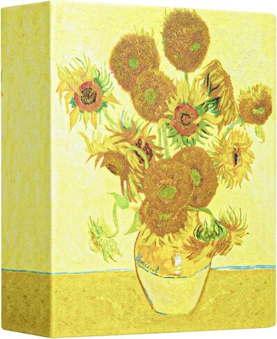Photo Album 4x6 with 50 Pockets, Small Picture Album with Premium Leather Album Cover, Slip-in Mini Picture Book for Family Wedding Anniversary Baby Vacation Pictures, Starry Night in Saudi Arabia