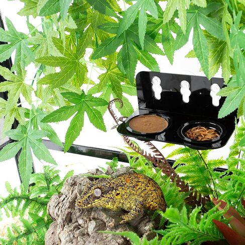 REPTI ZOO Reptile Gecko Feeder Ledge,2 in 1 Reptile Food Water Feeding Dish,Reptile Suction Cup Feeder with 6xBowls &3xSucker&2xScrews in Saudi Arabia