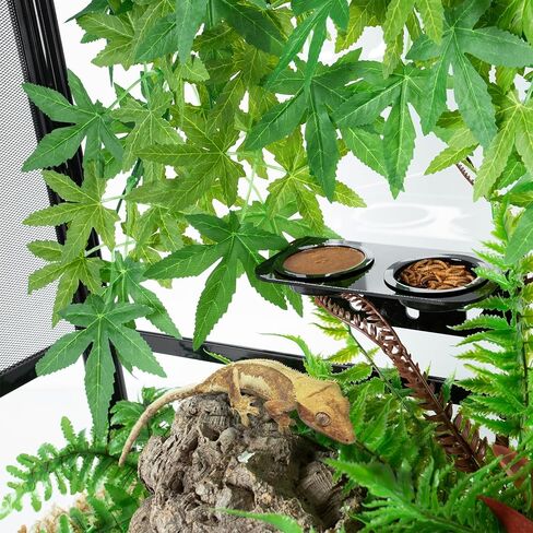REPTI ZOO Reptile Gecko Feeder Ledge,2 in 1 Reptile Food Water Feeding Dish,Reptile Suction Cup Feeder with 6xBowls &3xSucker&2xScrews in Saudi Arabia