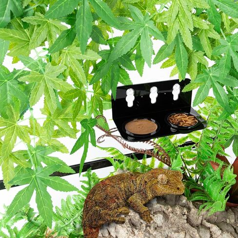 REPTI ZOO Reptile Gecko Feeder Ledge,2 in 1 Reptile Food Water Feeding Dish,Reptile Suction Cup Feeder with 6xBowls &3xSucker&2xScrews in Saudi Arabia