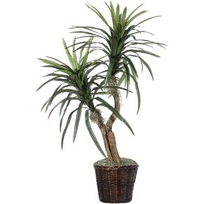 شجيرة مارجيناتا صناعية داخلية مقاس 4 بوصات من فيكرمان، حاوية بلاستيكية رمادية. in Kuwait