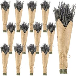 12 Pack Dried Lavender Bundle Organic Lavender Flowers Bulk Decor Natural Dried Lavender Bunches Total 2280 Stems for DIY Arrangements Home Party Wedding Decorations, 15.5 Inches in Saudi Arabia