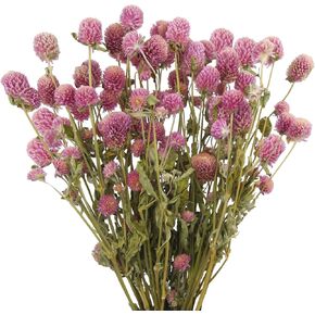 CISDUEO الزهور المجففة الوردي غلوب قطيفة الزهور المجففة حزم الزهور المجففة الطبيعية باقة لطاولة الزفاف زهرية ديكور بوهو DIY إكليل الزهور المنزل مكتب حزب حديقة الديكور