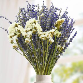 باقة زهور اللافندر المجففة واللافندر البحري - باقة زهور جافة طبيعية 100% مقاس 16 انش للمزهرية، ديكور المنزل، هدايا حفلات الزفاف، تنسيق الزهور، العطور المنزلية، اكليل الزهور والحرف اليدوية in Kuwait