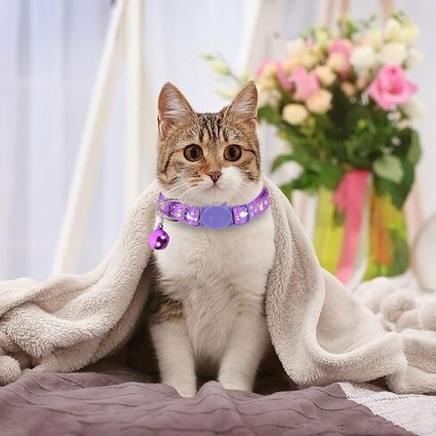 سلاسون طوق قطط قابل للفصل مع جرس وقمر ونجمة وعظام سمكة، اطواق قطط تتوهج في الظلام وقابلة للتعديل من 7.5 الى 11.4 انش، ارجواني، زهري، اسود، عبوة من 3 قطع in Kuwait