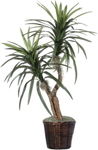 Vickerman 4' Indoor Artificial Marginata Bush, Gray Plastic Container. in Kuwait