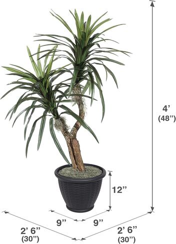 Vickerman 4' Indoor Artificial Marginata Bush, Gray Plastic Container. in Kuwait