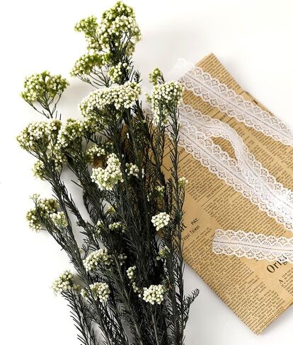زهرة الأرز المجففة 100% الدخن الطبيعي زهرة جافة محفوظة للمزهرية ديكور المنزل الزفاف لتقوم بها بنفسك ترتيب 2 حزم حزمة الأخضر in Kuwait