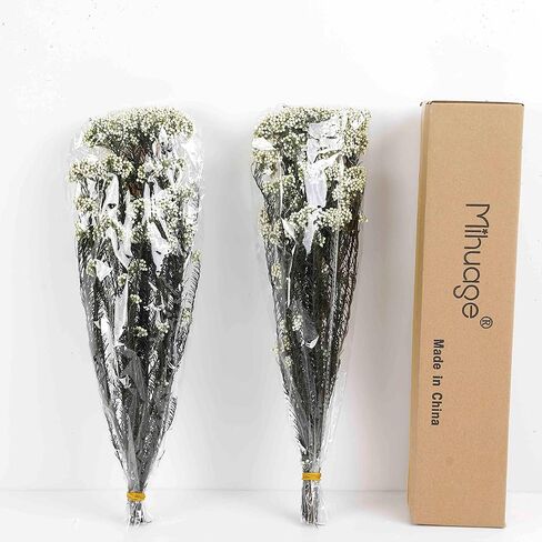 زهرة الأرز المجففة 100% الدخن الطبيعي زهرة جافة محفوظة للمزهرية ديكور المنزل الزفاف لتقوم بها بنفسك ترتيب 2 حزم حزمة الأخضر in Kuwait