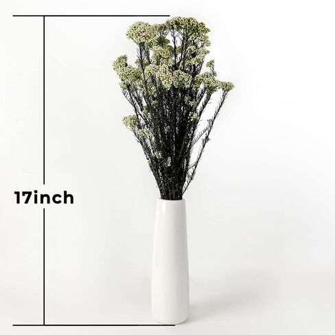 زهرة الأرز المجففة 100% الدخن الطبيعي زهرة جافة محفوظة للمزهرية ديكور المنزل الزفاف لتقوم بها بنفسك ترتيب 2 حزم حزمة الأخضر in Kuwait