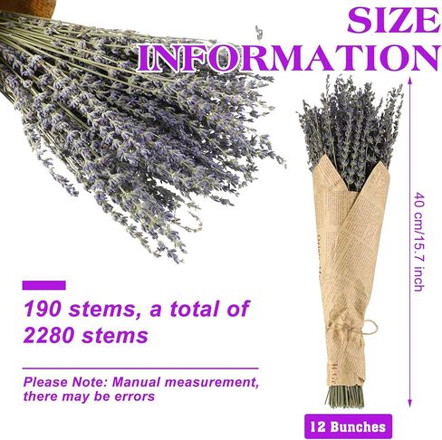 12 Pack Dried Lavender Bundle Organic Lavender Flowers Bulk Decor Natural Dried Lavender Bunches Total 2280 Stems for DIY Arrangements Home Party Wedding Decorations, 15.5 Inches in Saudi Arabia