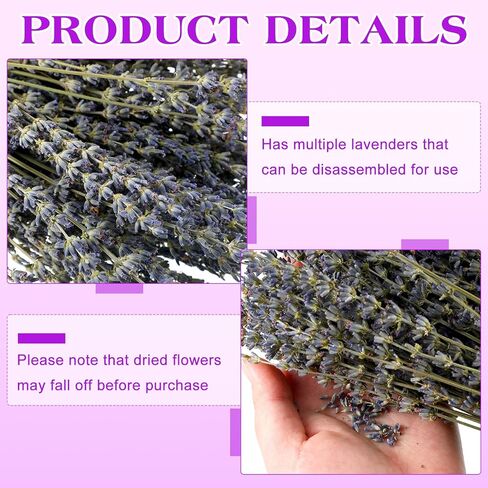 12 Pack Dried Lavender Bundle Organic Lavender Flowers Bulk Decor Natural Dried Lavender Bunches Total 2280 Stems for DIY Arrangements Home Party Wedding Decorations, 15.5 Inches in Saudi Arabia