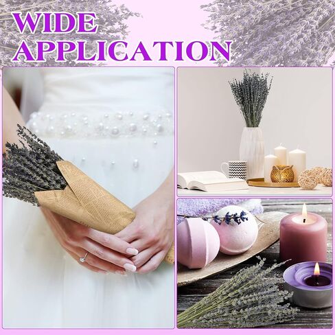 12 Pack Dried Lavender Bundle Organic Lavender Flowers Bulk Decor Natural Dried Lavender Bunches Total 2280 Stems for DIY Arrangements Home Party Wedding Decorations, 15.5 Inches in Saudi Arabia