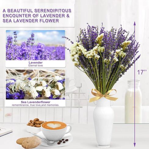 باقة زهور اللافندر المجففة واللافندر البحري - باقة زهور جافة طبيعية 100% مقاس 16 انش للمزهرية، ديكور المنزل، هدايا حفلات الزفاف، تنسيق الزهور، العطور المنزلية، اكليل الزهور والحرف اليدوية in Kuwait