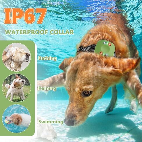 Dog Traning Collar Dog Shock Collar with 4 Traning Modes, Beep, Vibration, Shock & Lighting, Remote 2624FT, Rechargeable Waterproof Electronic Collar for All Breeds, Black in Kuwait