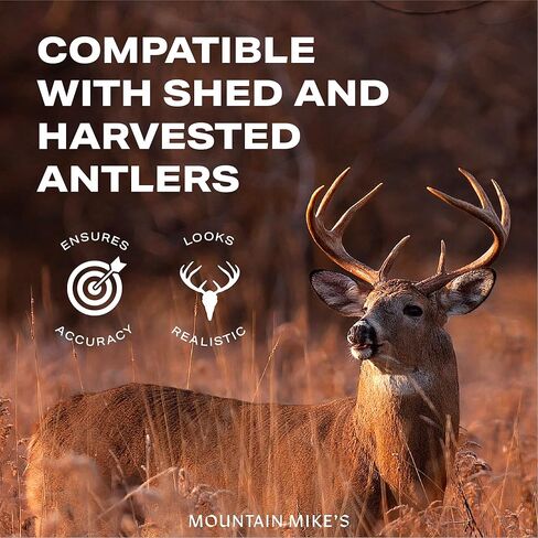 مجموعة جبل قرن الوعل في الغابة السوداء من ماونتن مايك in Kuwait